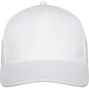 Elevate Life 38677 - Doyle 5 panel cap